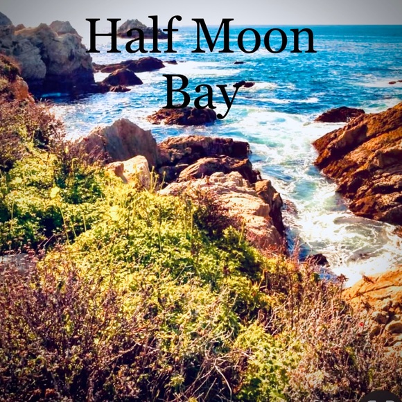 🐈‍⬛Cat Mom🐾 BAY AREA Native😎, GSW Dubs🏀,49er Faithful🏈,SF Giants⚾️UCLA Alum - Picture 7 of 16